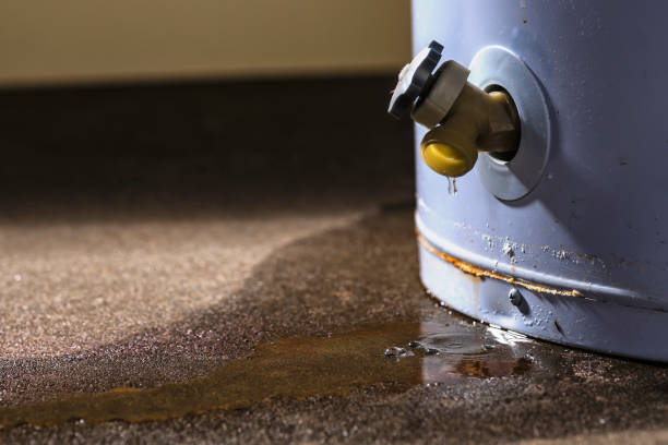 Best Basement water damage restoration  in Seagraves, TX