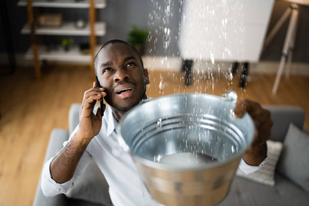 Best Water damage cleanup near me  in Seagraves, TX