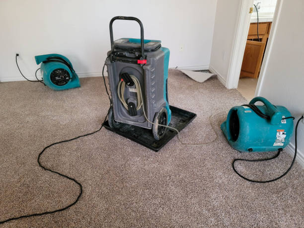 Best 24/7 water damage repair  in Seagraves, TX