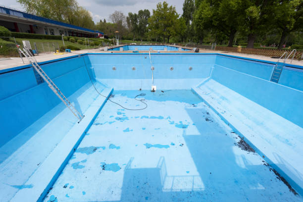Best Professional water damage repair  in Seagraves, TX